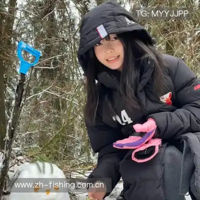 包镇